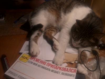 Прикрепленное изображение: IMG_20151026_202947.jpg